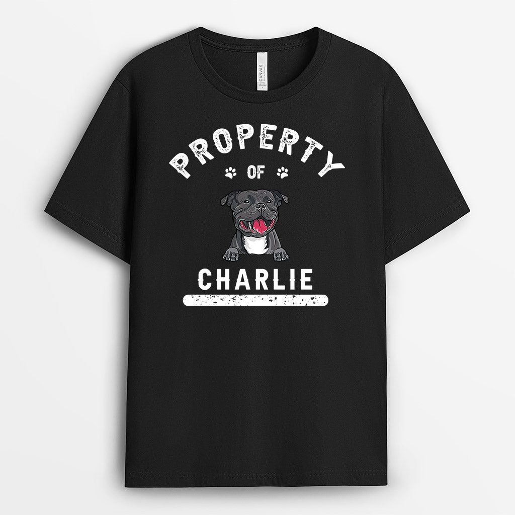 Dog Property - Personalized Shirts for Dog Lovers