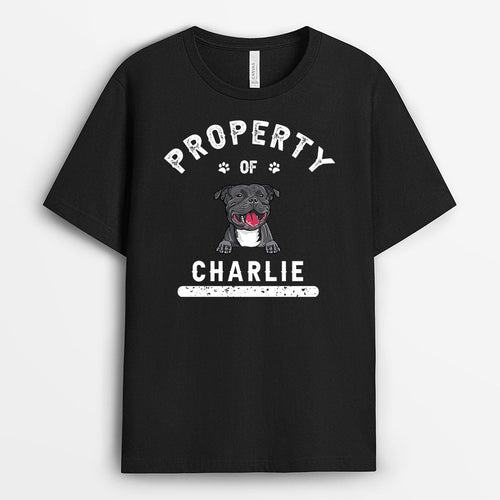 Dog Property - Personalized Shirts for Dog Lovers