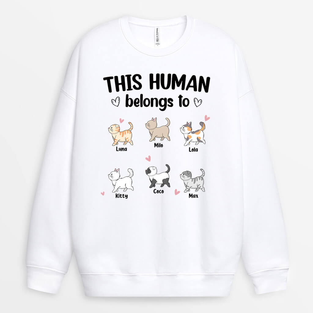 Personalized This Amazing Human Belongs To Sweatshirt
