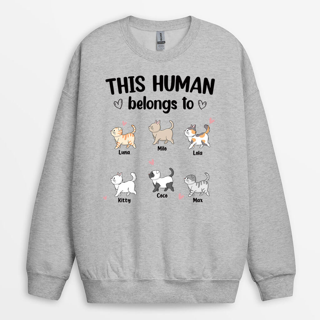 Personalized This Amazing Human Belongs To Sweatshirt