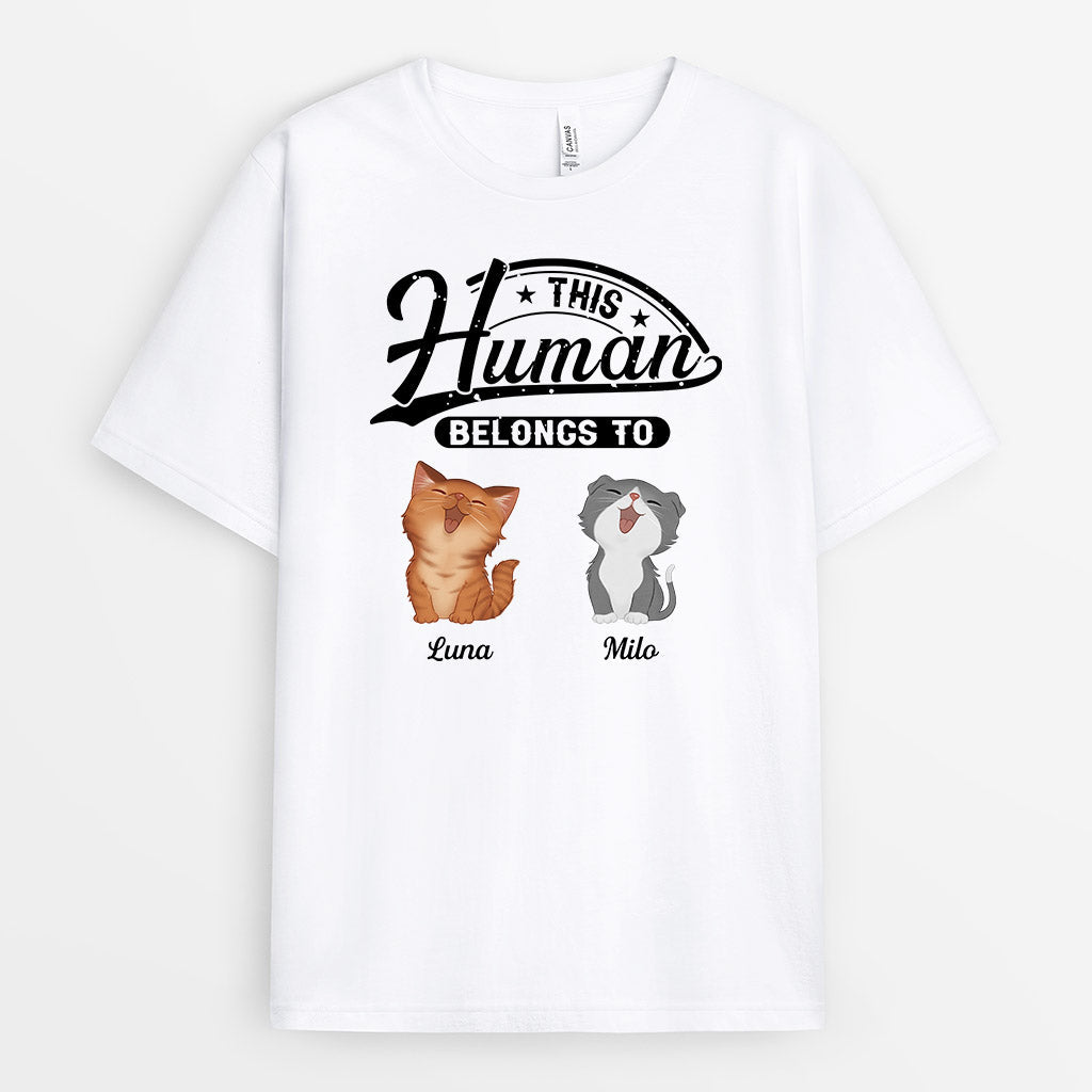 This Human Belongs To Cute Cats T-Shirts - Customized Cat Lover Gifts