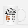 This Human Belongs To Cats - Personalized Cat Ceramic Mug