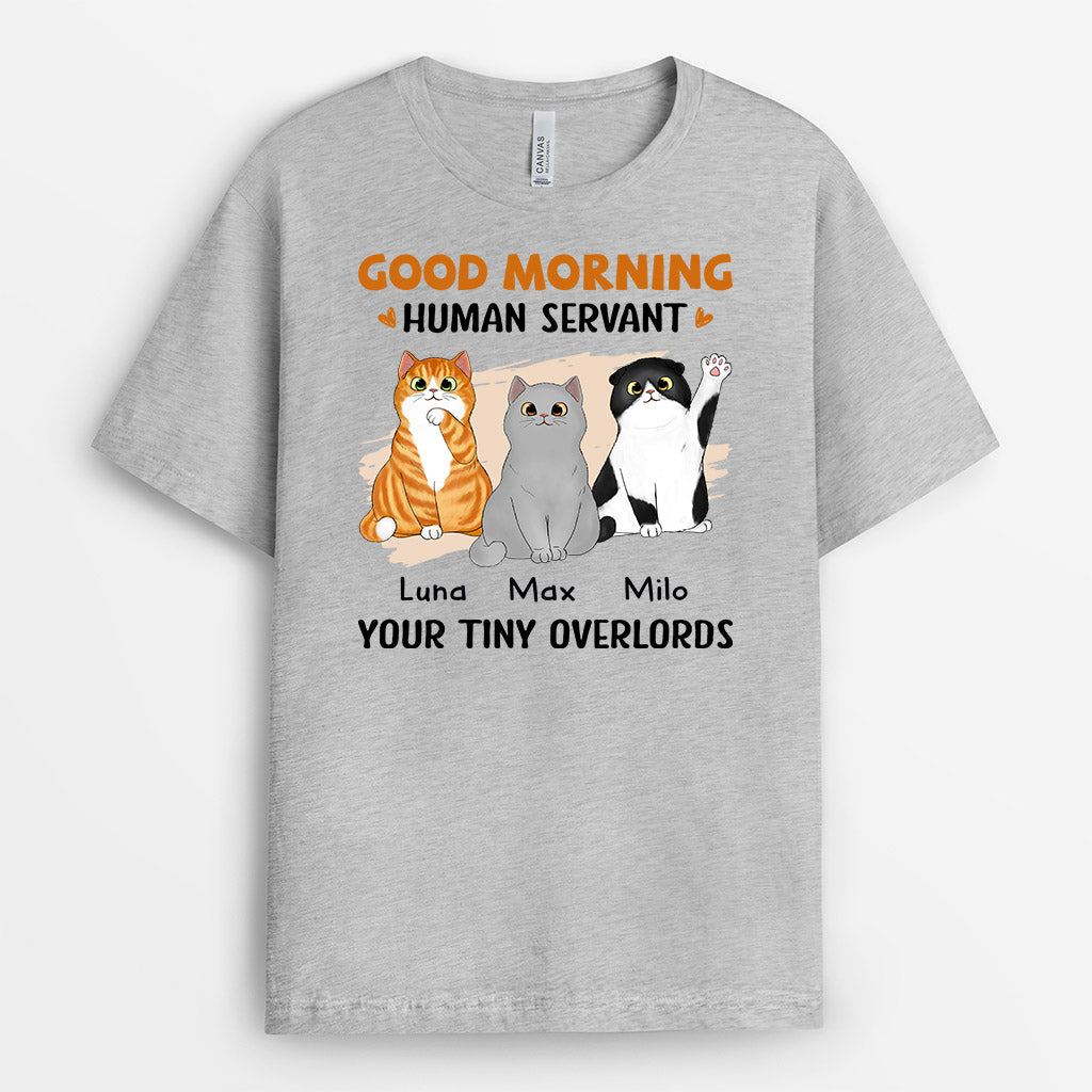 Personalized Good Morning Human Servant Your Overlords Here T-shirt