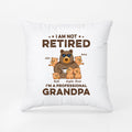 Not Retired I'm Professional Grandpa/Dad Pillow - Personal Retirement Gifts For Dad