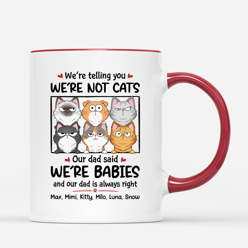 We're Not Cats We Are Baby - Personalized Cat Coffee Mugs