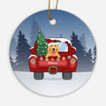 Dog Name Ornaments - Dog Gifts For Owners - Personalized Christmas Gift