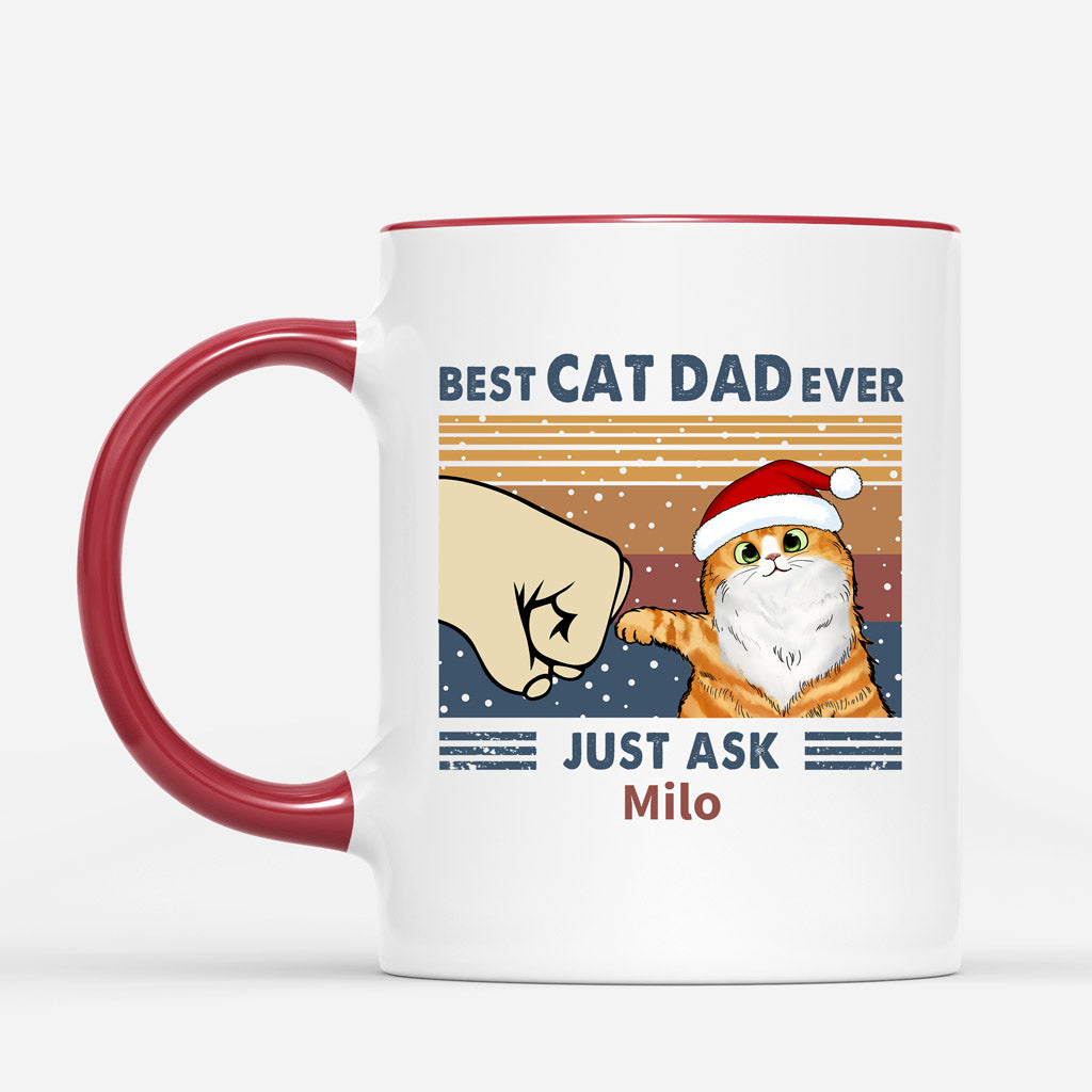 Best Cat Dad Ever - Custom Cat Coffee Mug for Christmas