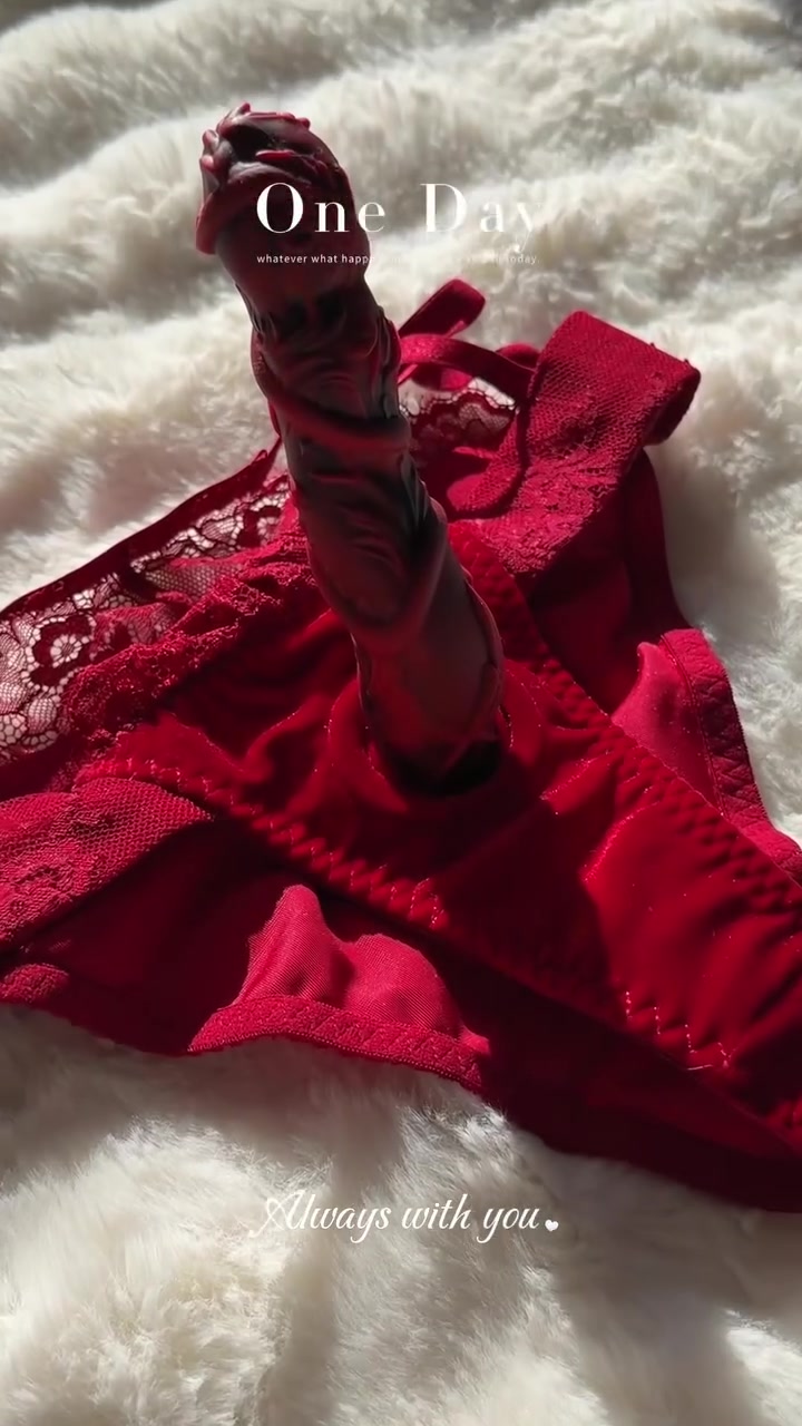 Quick-Wear Strap-On Harness Panties