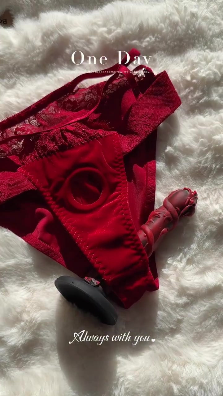 Quick-Wear Strap-On Harness Panties